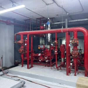 Copy of WhatsApp Image 2024-08-29 at 8.26.47 AM (1)