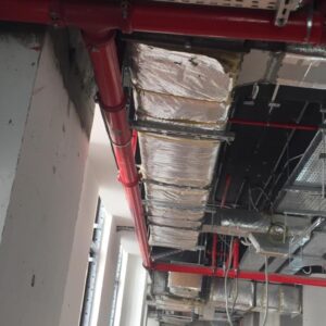 Copy of WhatsApp Image 2025-01-18 at 19.59.26_742079d2